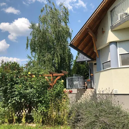 公寓 Dominik Apartmanhaz 韦伦采